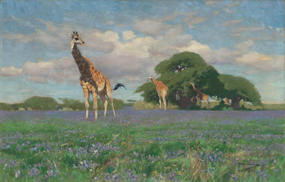Survival of the Fittest: Envisioning Wildlife and Wilderness with the –  National Museum of Wildlife Art