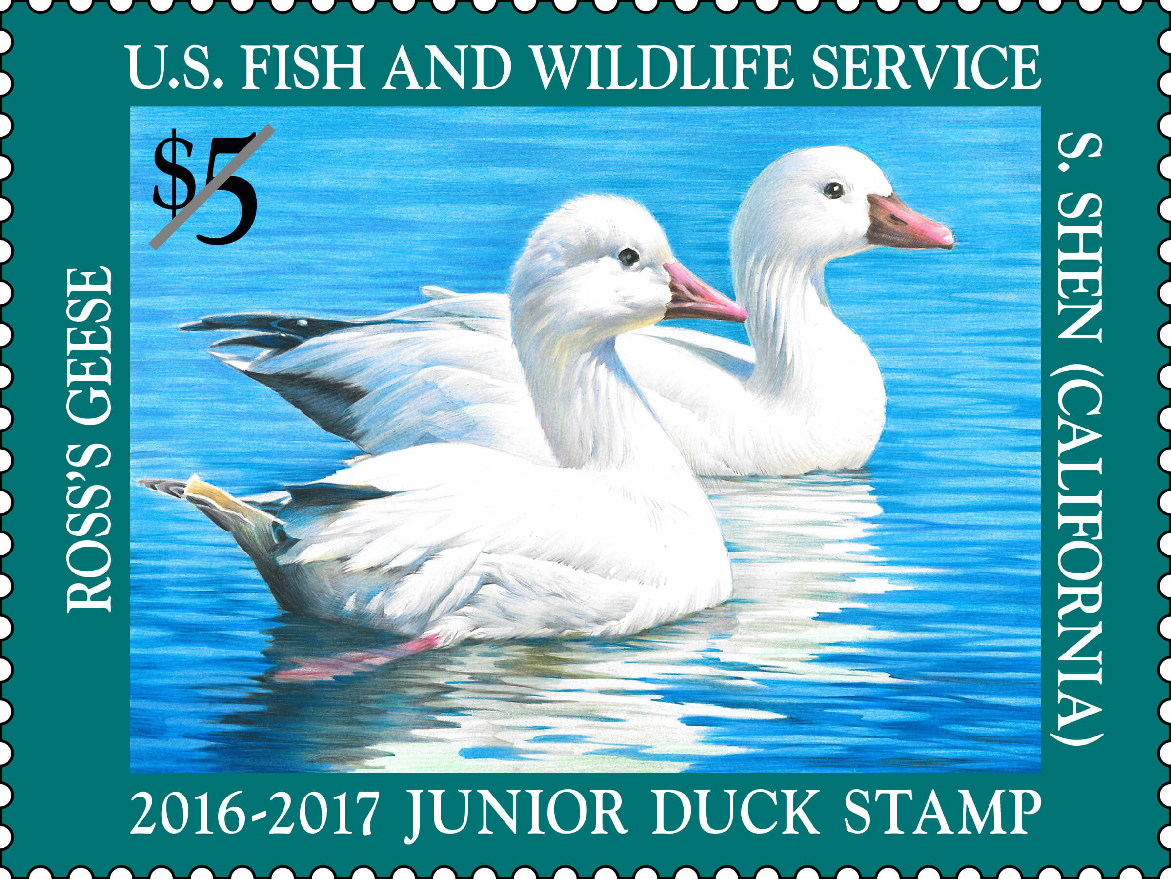 Federal Junior Duck Stamp Art